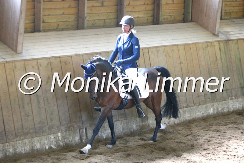 006M6662_Dressurpferde A.JPG